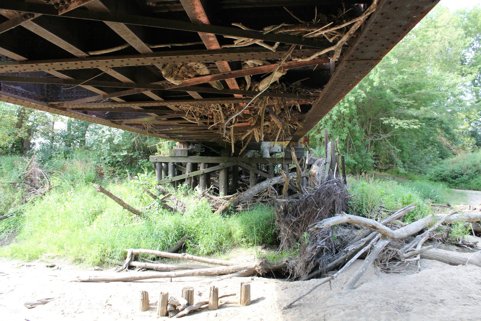 Under bridge